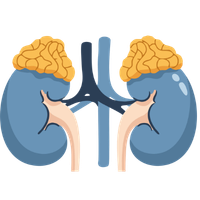 Nephrotic Syndrome